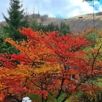 In Ramsbeck With Garden Дом отдыха Бествиг