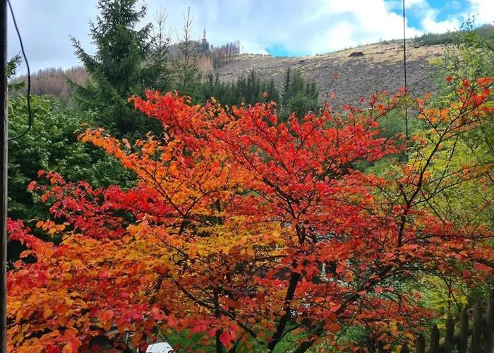 In Ramsbeck With Garden Feriehus Bestwig